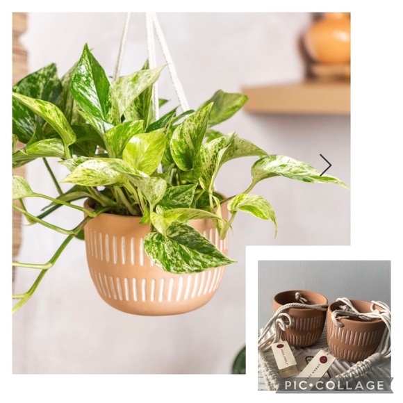 Urban Jungle Other - Set of 2 Urban Jungle Boho Hanging Planters